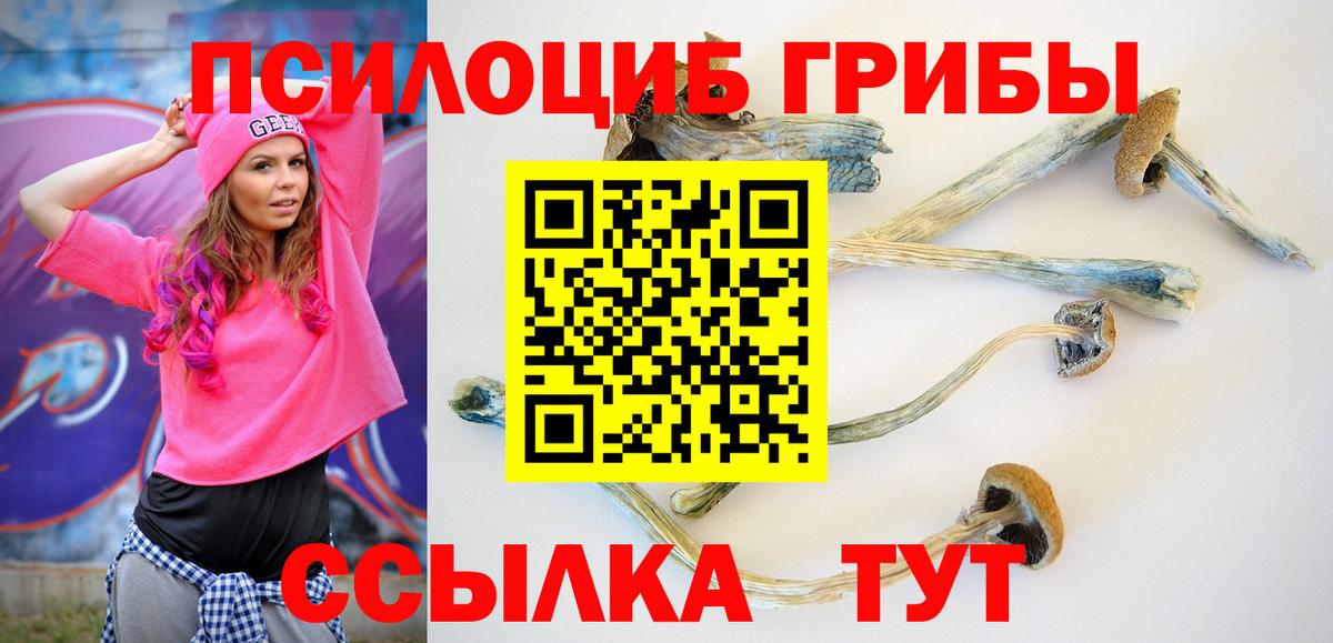 Галлюциногенные грибы мухоморы  где купить наркоту  Саранск  Вход с VPN 