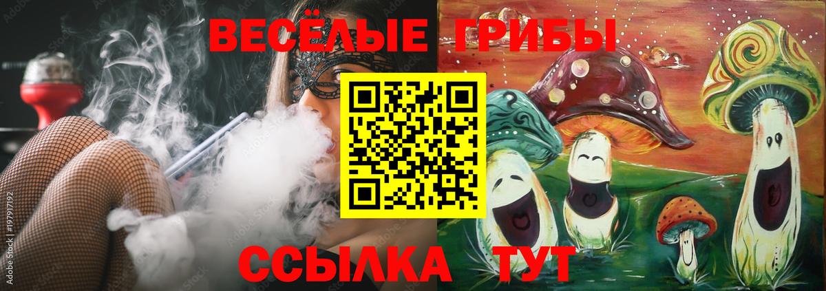 Псилоцибиновые грибы Psilocybe Саранск