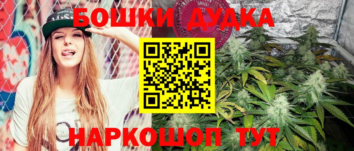 Канабис сатива Саранск
